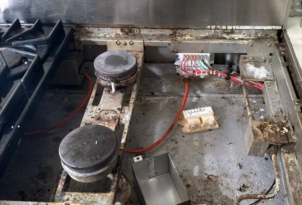 Internal burner, wiring and control component inspection